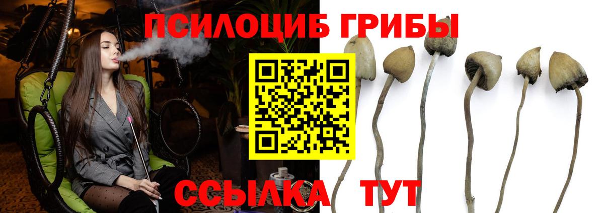 Псилоцибиновые грибы Magic Shrooms Отрадный